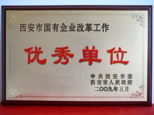 2009年5月，被西安市委、市政府評(píng)為西安市國(guó)企業(yè)改革工作優(yōu)秀單位