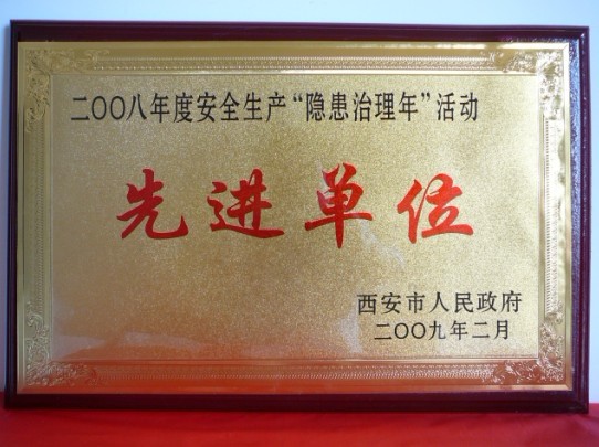 2009年2月，被西安市人民政府評(píng)為2008年度安全生產(chǎn)“隱患治理年”活動(dòng)先進(jìn)單位