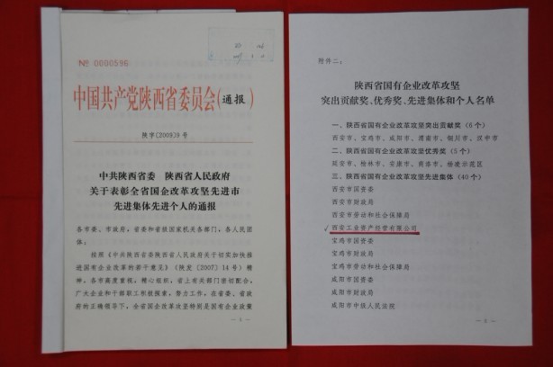 2009年2月，被陜西省委、省政府授予陜西省國(guó)有企業(yè)改革攻堅(jiān)先進(jìn)集體